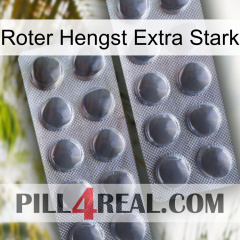 Red Stallion Extra Strong 31